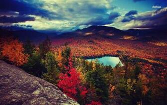 Mountain Forest During Fall Wallpaper Nature