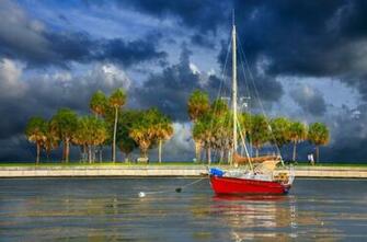 Yacht Palm Trees Waterfront Wallpaper