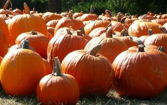 Fall Desktop Wallpaper Pumpkins In HD