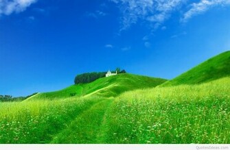 New Summer HD Wallpaper Background And Image