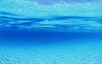 Underwater Blue Colors Back To Wallpaper Home
