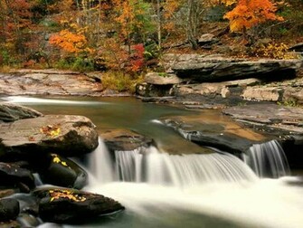 HD Autumn Desktop Wallpaper