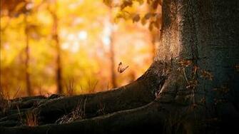 Wallpaper Experience Be Different Everyday Enjoy Daily
