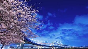 Wallpaper Japan Hokkaido Bridge Sakura
