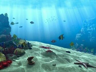 Underwater Ocean Scene Wallpaper By Akchilug