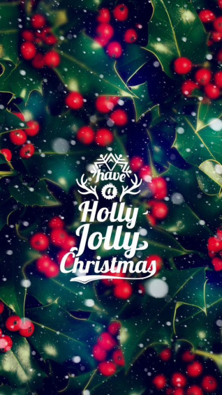 Fox And Spice Christmas Winter Phone Wallpaper