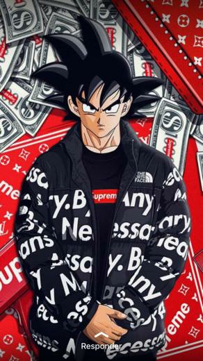 Goku In Supreme Mode Dragon Ball Life
