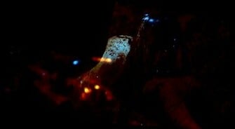 Evil Dead Wallpaper