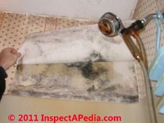Mold On Vinyl Windows In Wall Cavities Wallpaper