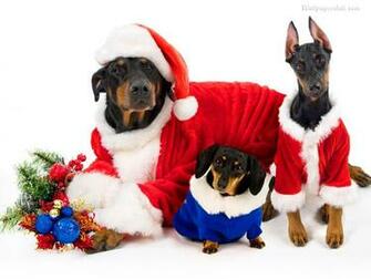 Christmas October No Comments Johni Rockey