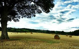 Hay Bales On The Hill Wallpaper