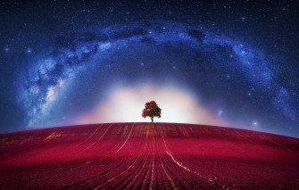 Wallpaper Fantasy Avatar Clouds Loneliness Horizon Tree