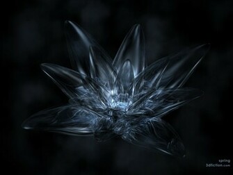 Black Wallpaper Bestwallpaperzone