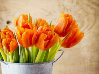 Image Orange Tulips Flowers