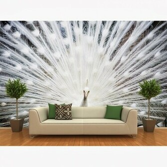 White Peacock Wallpaper Beautiful Desktop