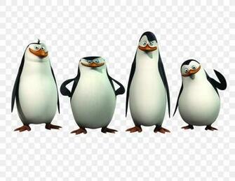 Kowalski Skipper Penguin Madagascar Wallpaper Png