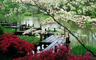 Best Flowers HD Wallpaper Fan