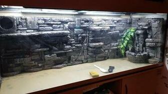 Homemade Terrarium Aquarium Background Took Me About Hours