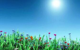 Making Our Computer Screen Attractive With Spring HD Wallpaper