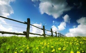 Spring Wallpaper Rating Reer Nden Itemreed