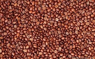 Cate Wallpaper Coffee Bean