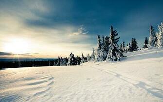 Want To See More Gorgeous Desktop Wallpaper Simply Check Out Our