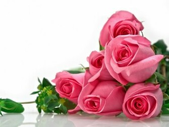 Flowers For Flower Lovers Wallpaper Beautiful Roses