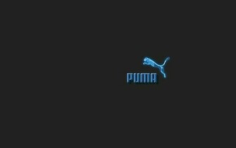 Skeleton Puma Wallpaper By Lankan69hawk
