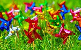 Colors Of Springtime Happiness Wallpaper