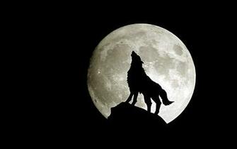 Wolf Moon Fantasy Wallpaper