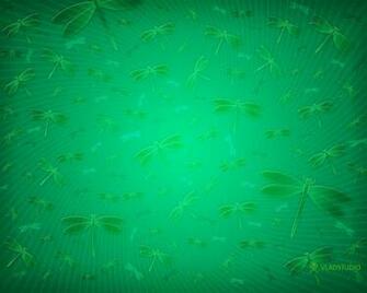 Dragonfly Wallpaper Background