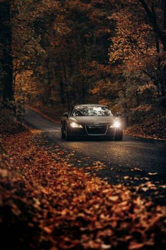 Audi Pictures HD Image