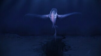 Deep Blue Sea Wallpaper