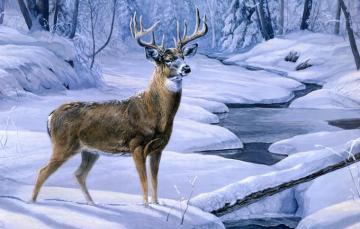 Wallpaper Winter Forest Snow Stream Deer Painting