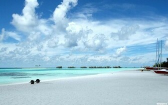 Summer Beach Background