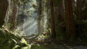 Best Battle Of Endor Wallpaper Han Solo
