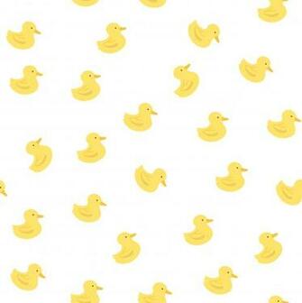 Wallpaper Ducks Posted By Ryan Thompson