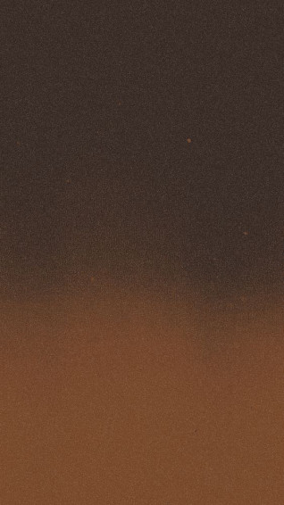 Brown iPhone Wallpaper Image