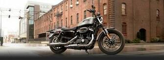 Sportster Roadster Iron Custom Forty
