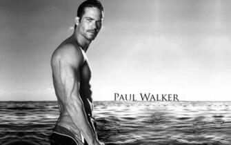 Paul Walker Wallpaper HDbest Of The Best High Definition