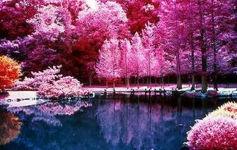 Beautiful Nature Photography