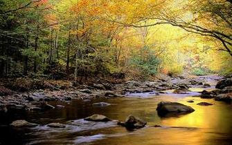Golden Stream Wallpaper