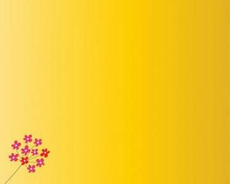 Cool Daisy Simple Quality Background
