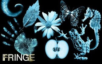 Fringe Wallpaper