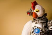 Adult Swim Robot Chicken Wallpaper High Quality