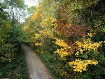 Autumn Roadway Smoky Mountains National Park Tennessee