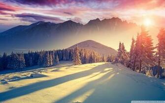 Winter Wallpaper And Theme For Windows All