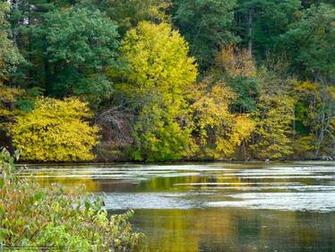 Wallpaper Water Forest Autumn Desktop In The
