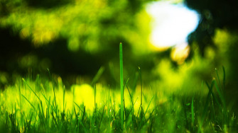 Top Tv 4k Wallpaper Full HD To Use