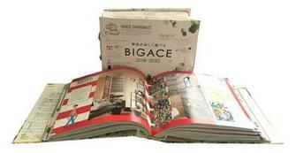 Interior Wallpaper Sample Book Bic Ace Buy Wall Paper